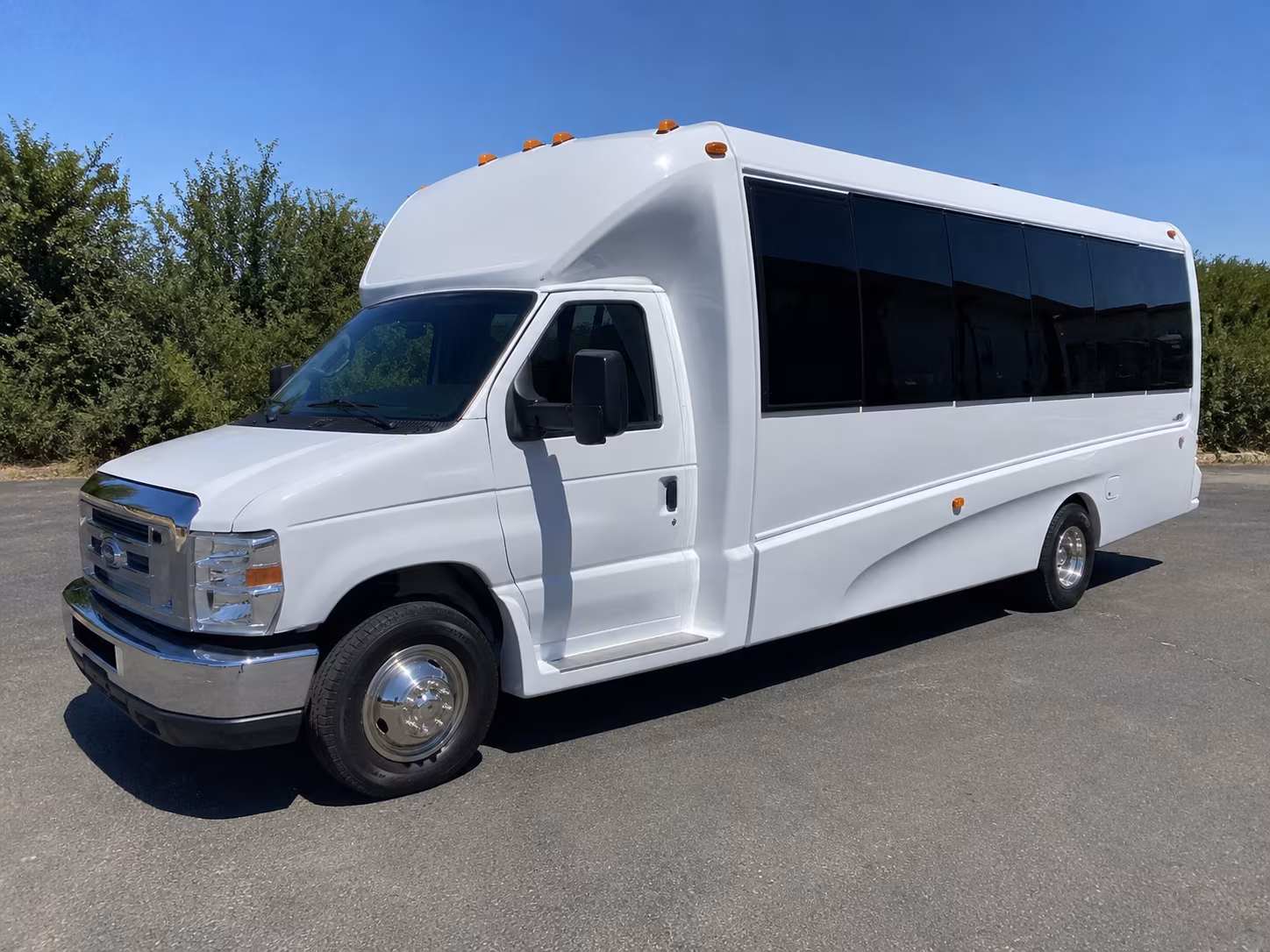 20 Passenger Party Bus