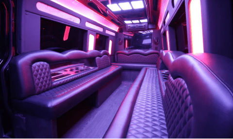 Dayton 14 Passenger Sprinter Bus Interior