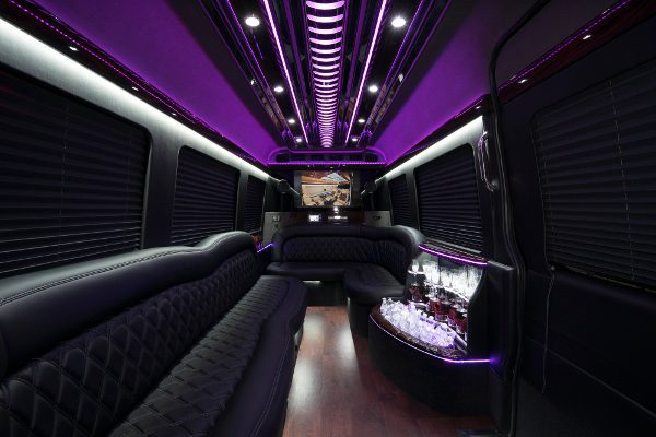 12 Person Sprinter Van Columbus